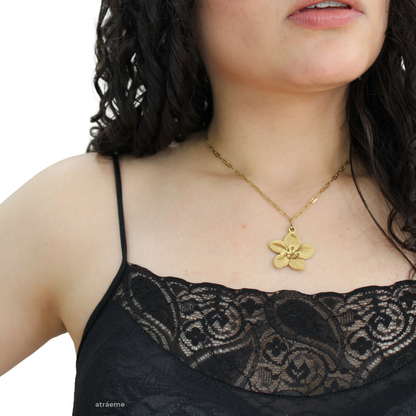 Body blusa con encaje ref.915